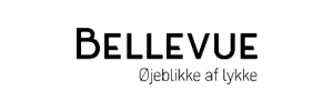 Bellevue Smartbox uforglemmelige oplevelser for alle